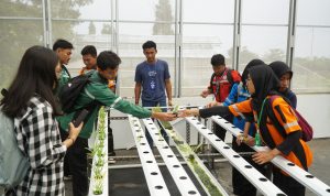 Siswa SMP dan SMA belajar bertanam dalam kegiatan Dolan ke Science Techno Park Fakultas Pertanian dan Bisnis (FPB) UKSW, Jumat (15_11_2024). (3)