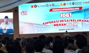 1002791743
