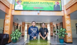 jeje-01966-540x360